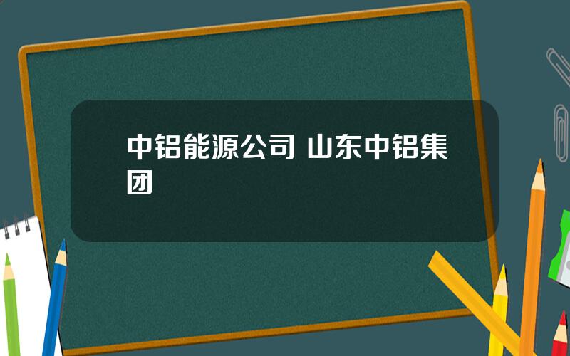 中铝能源公司 山东中铝集团